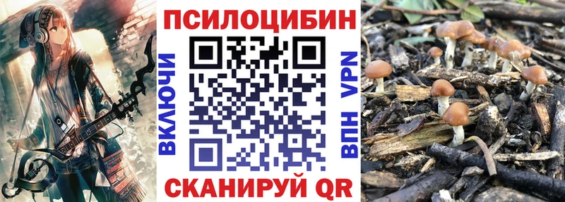 хочу наркоту  кракен tor  Галлюциногенные грибы ЛСД  Мурино 